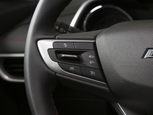 2021Redline 335T CVT VI п؅^