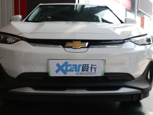 2021款星享版 中网