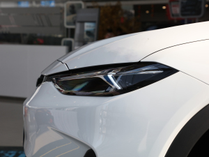 2021�������� �������^