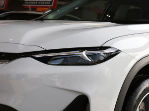 2021�������� �������^