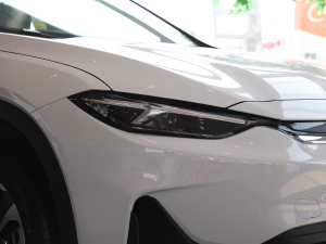 2021�������� �������^