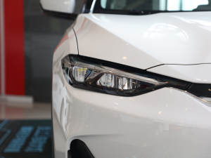 2021�������� �������^