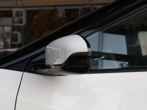 2021�������� �������^