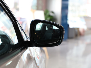 2021�������� �������^