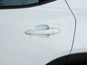 2021�������� �������^