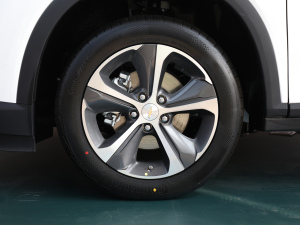 2021�������� �������^