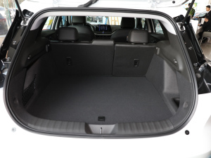 2021�������� ��������g