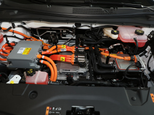 2021�������� ����