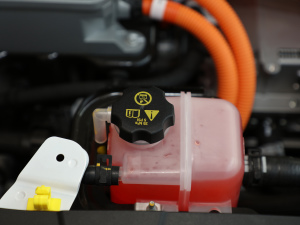 2021�������� ����