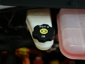 2021�������� ����