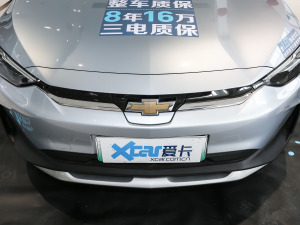 2021款星云版 中网