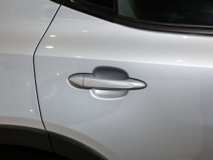 2021�����ư� �������^