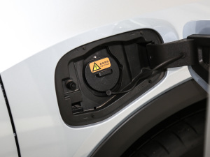 2021�����ư� �������^