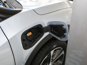 2021�����ư� �������^