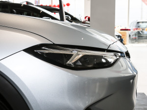 2021�����ư� �������^