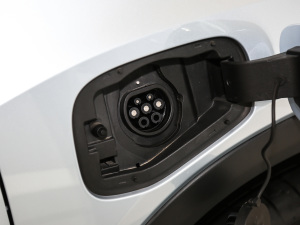 2021�����ư� �������^