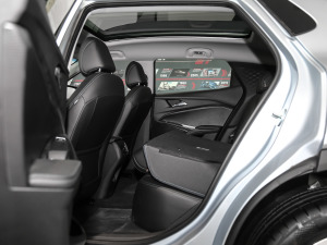 2021�����ư� �������ηŵ�