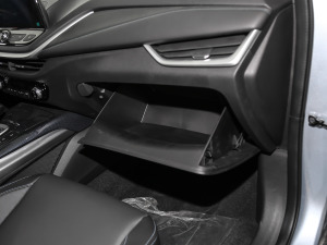 2021�����ư� ������