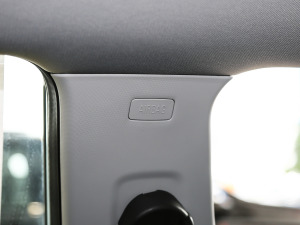 2021�����ư� ���g����