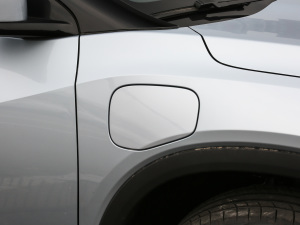 2021������� �������^