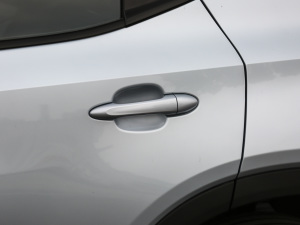 2021������� �������^