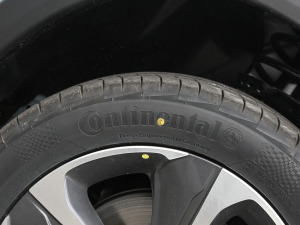 2021������� ݆̥Ʒ��