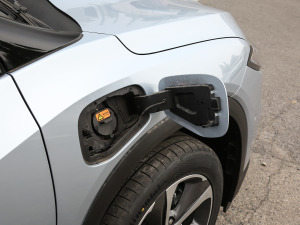 2021������� �������^