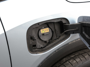 2021������� �������^