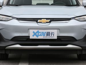 2021款星宇版 中网