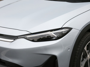 2021������� �������^