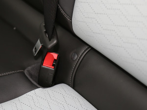 2021������� ���g����