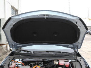 2021������� ����