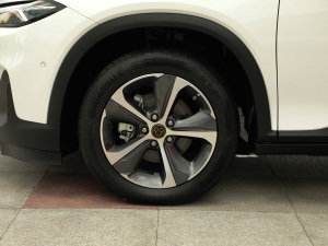 2021������ħ������� ݆Ȧ