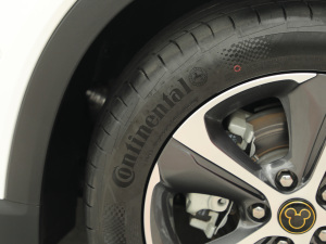 2021������ħ������� ݆̥Ʒ��