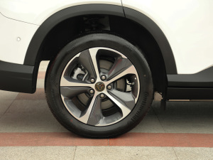 2021������ħ������� �������^