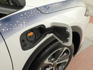 2021������ħ������� �����w