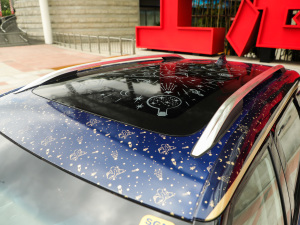 2021������ħ������� ܇�