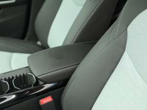 2021������ħ������� ���������