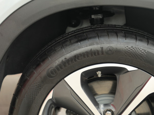 2021������ħ������� ݆̥Ʒ��