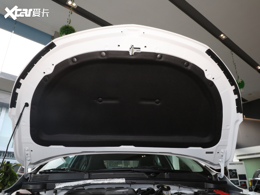 2021Ɲ Redline 325T Ԅҫ