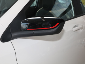 2021Redline 325T Ԅҫ ^