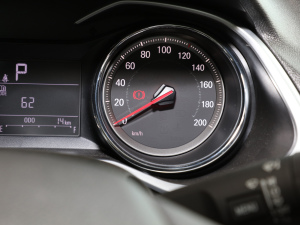 2021Redline 325T Ԅҫ п؅^