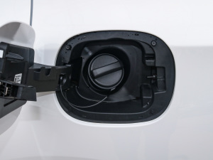 2021325T Ԅ (x)(ji)^