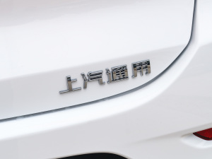 2021款325T 自动欣悦版 细节外观