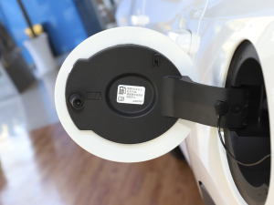 2022p 650T Redline 5 Ͱ (x)(ji)^