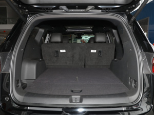 2022p 650T RS (q) 5  g