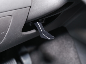 2022535T ԄJӰ п؅^(q)