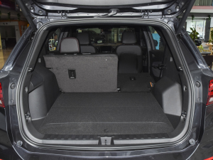 2022p 550T RS 9AT ؽ g