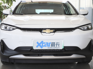 2022款星云版 中网