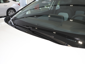 2022�����ư� ��ˢ